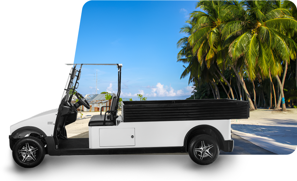 Electric Buggies XU2+LLC