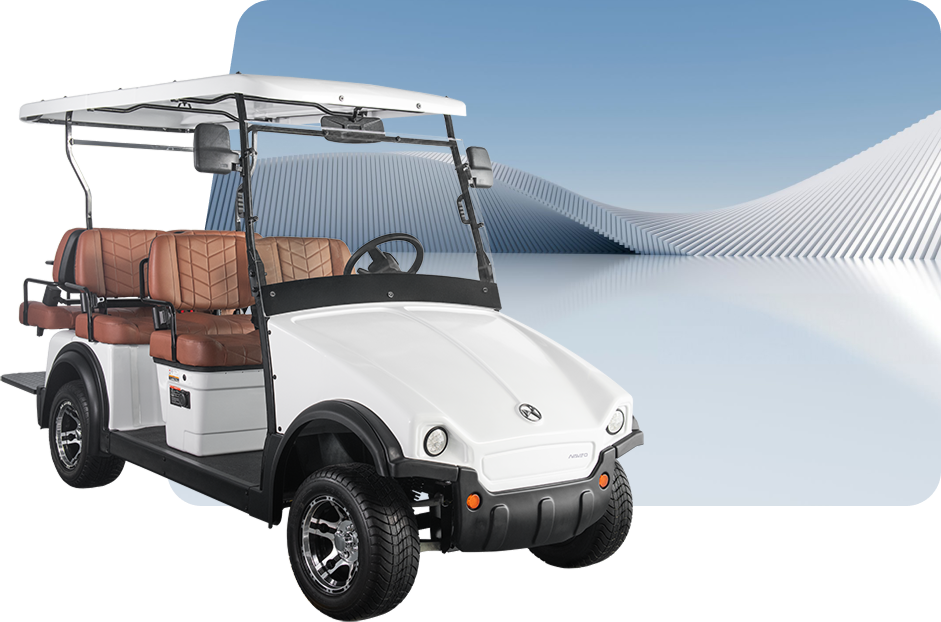 Electric Buggies xp4+2