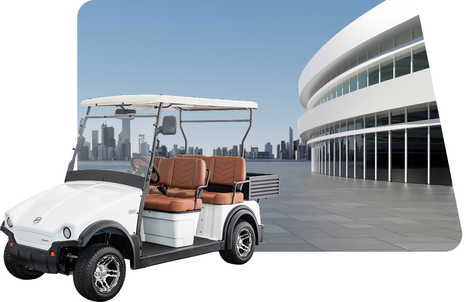 Electric Buggies xp4+c