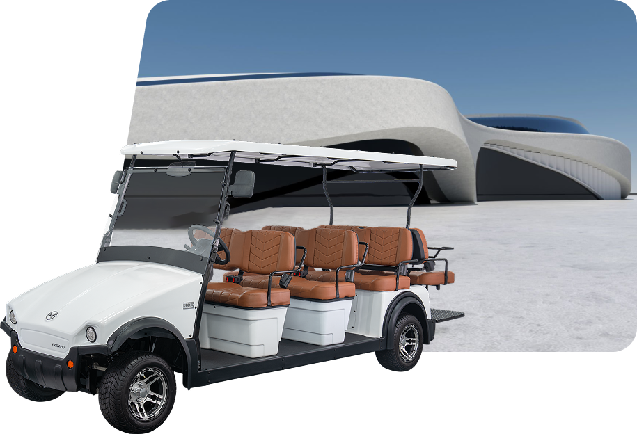 Electric Buggies xp6+2