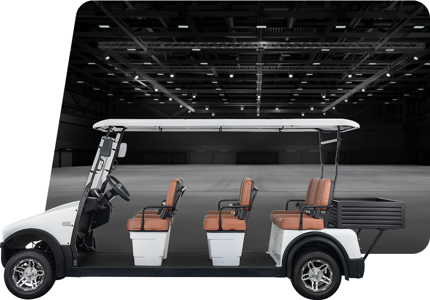 Electric Buggies xp6+c